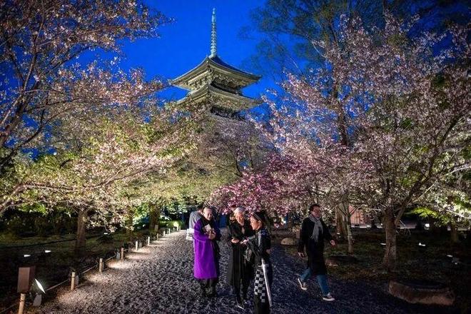 消日本民意出现下滑高市或成“短命首相”pg模拟器电脑版46条航线航班全部取(图14)